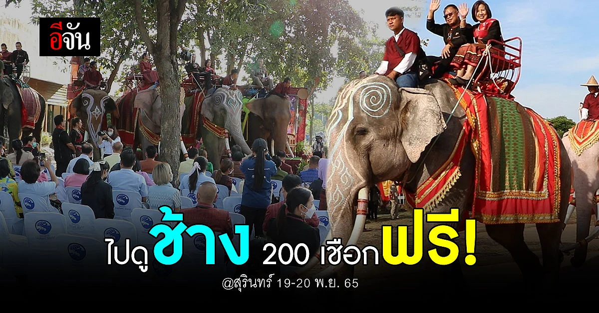 สุรินทร์ถิ่นเมืองช้าง กับงานประจำปี มหัศจรรย์งานช้างสุรินทร์