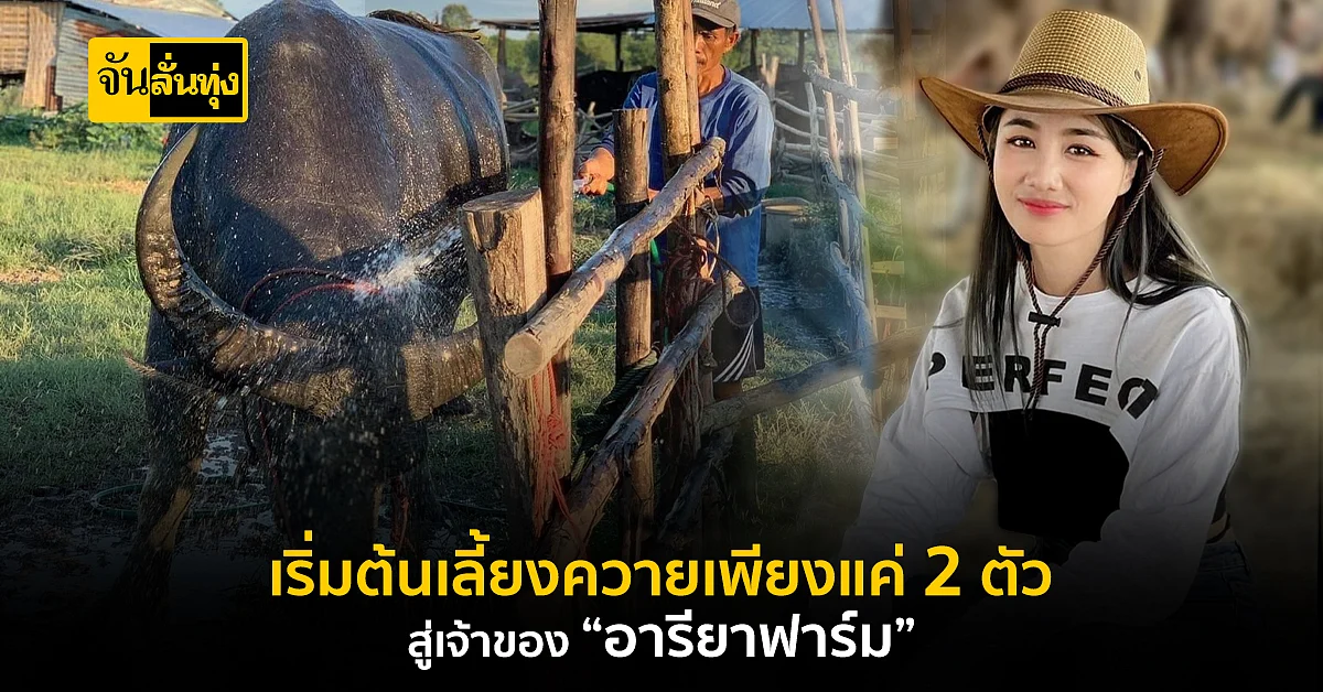 เส้นทางไม่สวยหรู สู่สาวอายุเพียง 24 ปี กับฟาร์มกระบือ 123 ตัว