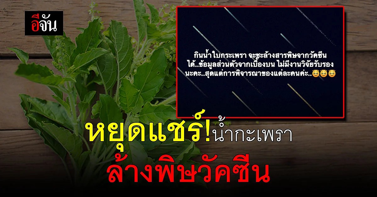 ข่าวปลอม! อย่าเชื่อน้ำกะเพราล้างพิษวัคซีน