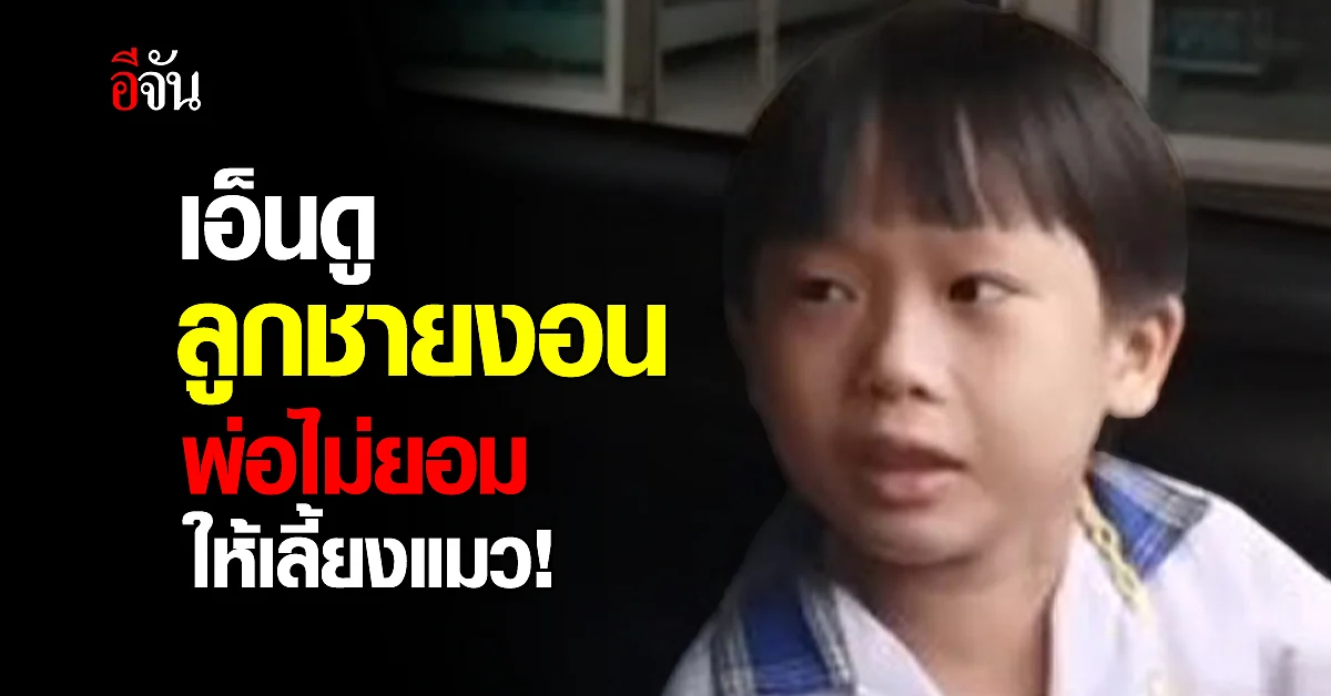 เอ็นดู วัยรุ่นฟันน้ำนม งอนพ่อไม่ยอมให้เลี้ยงแมว