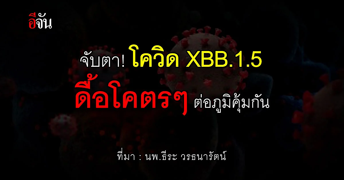 โคตรดื้อ! จับตาสายพันธุ์ย่อย XBB.1.5 ดื้อต่อภูมิคุ้มกันมากที่สุด