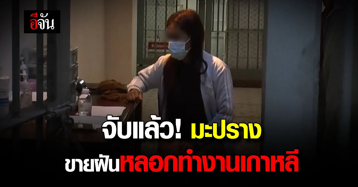 จับแล้ว! มะปราง สาวแสบหลอกพ่อผัวรื้อบ้าน-ตุ๋นคนไปทำงานเกาหลี