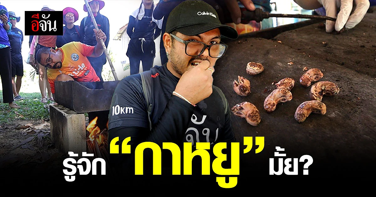 ลงเกาะพยาม ดูวิธีการคั่วเม็ด "กาหยู" หรือ "มะม่วงหิมพานต์" แบบดั้งเดิม