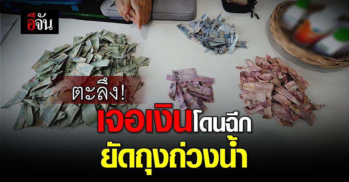 ตะลึง ยายช้อนแหน เจอ แบงก์ขาด ใส่ถุง ทิ้งบ่อน้ำกลางนา