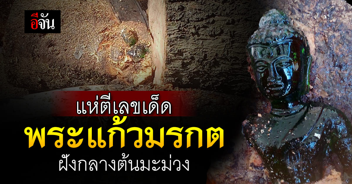 แห่ตีเลขเด็ด หลังพบพระแก้วมรกต อายุราว 100 ปี ฝังกลางต้นมะม่วง