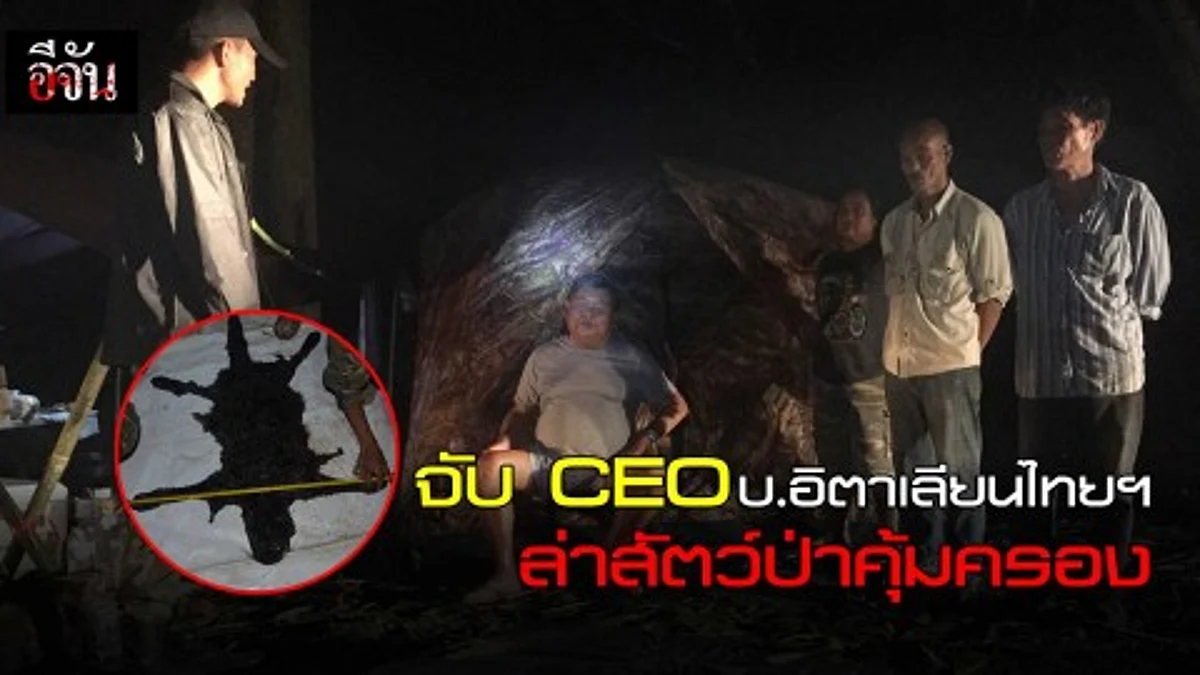 จับ CEO บ.อิตาเลียนไทยฯ ล่าสัตว์ป่าคุ้มครอง