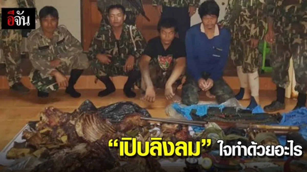 "เปิบลิงลม" ใจทำด้วยอะไร