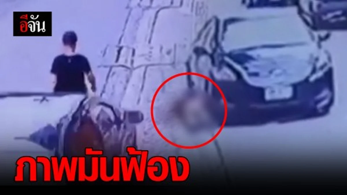ภาพมันฟ้อง หนุ่มขับเก๋งอ้างเขาเซมาหน้ารถ