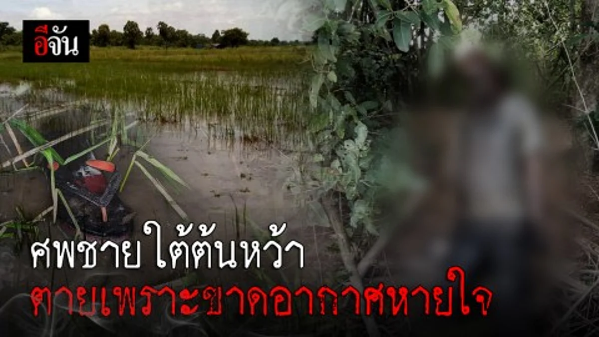 คืบหน้าพบศพชายผูกคอตายใต้ต้นหว้าบนคันนา