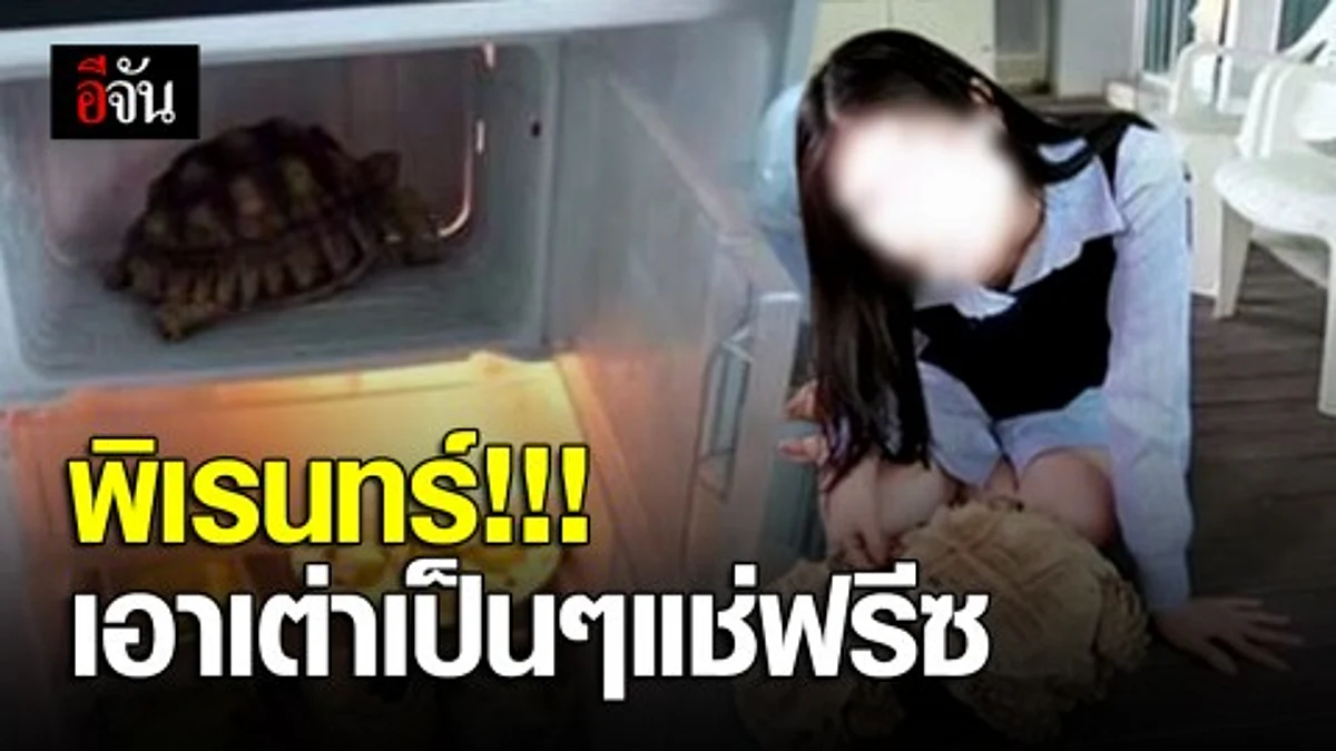 สาวเล่นพิเรนทร์ เอาเต่าเป็นๆ เเช่ช่องฟรีซ โพสต์ภาพโชว์โซเชียล