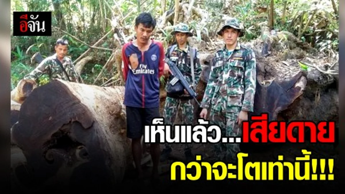 บุกจับชาวกัมพูชา ผู้ลักลอบตัดไม้กลางป่าปากตกห้วยดินดำ