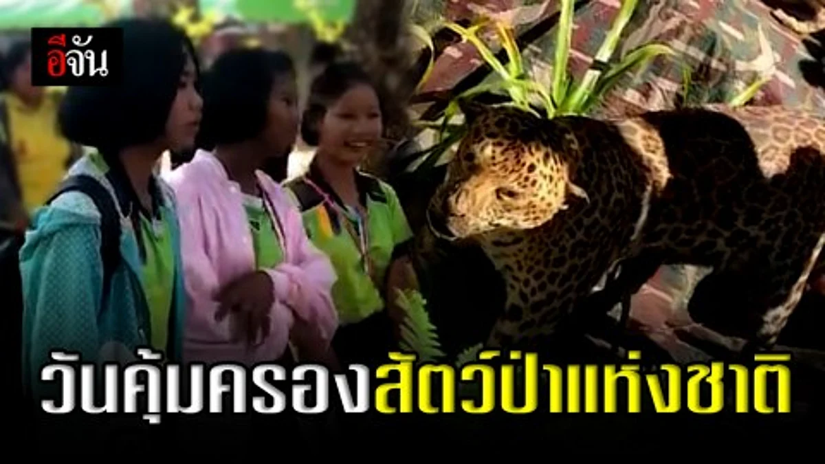 จัดงานวันคุ้มครองสัตว์ป่าแห่งชาติ เห็นแล้วอดคิดถึงเสื้อดำไม่ได้