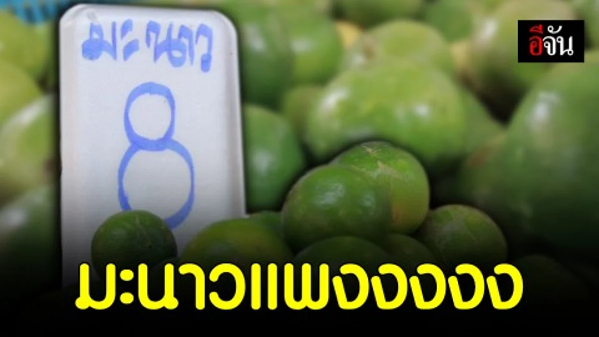 แม่ค้าโอด ราคามะนาวพุ่งสูง คาดเดือนหน้า แตะ 15 บาท