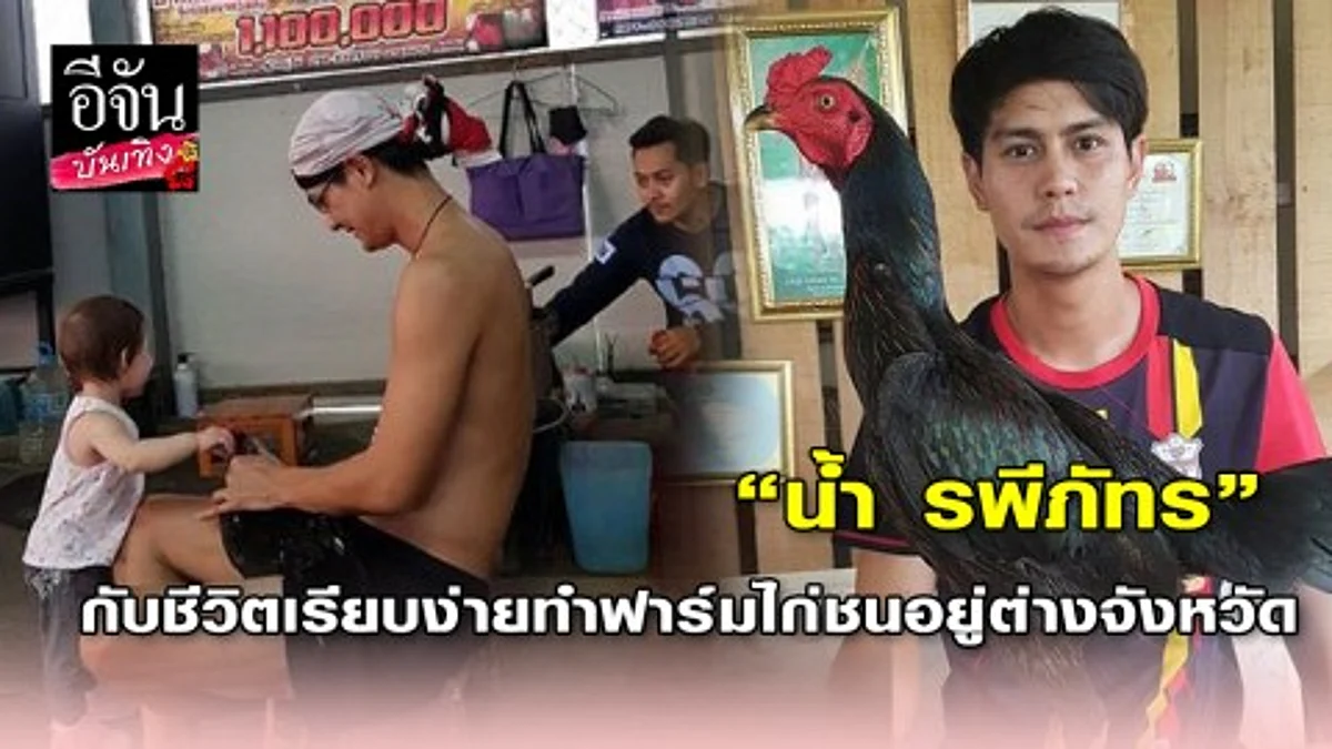เปิดภาพอดีตพระเอกดัง “น้ำ รพีภัทร” กับธุรกิจฟาร์มไก่ชนที่กำลังรุ่งเรือง