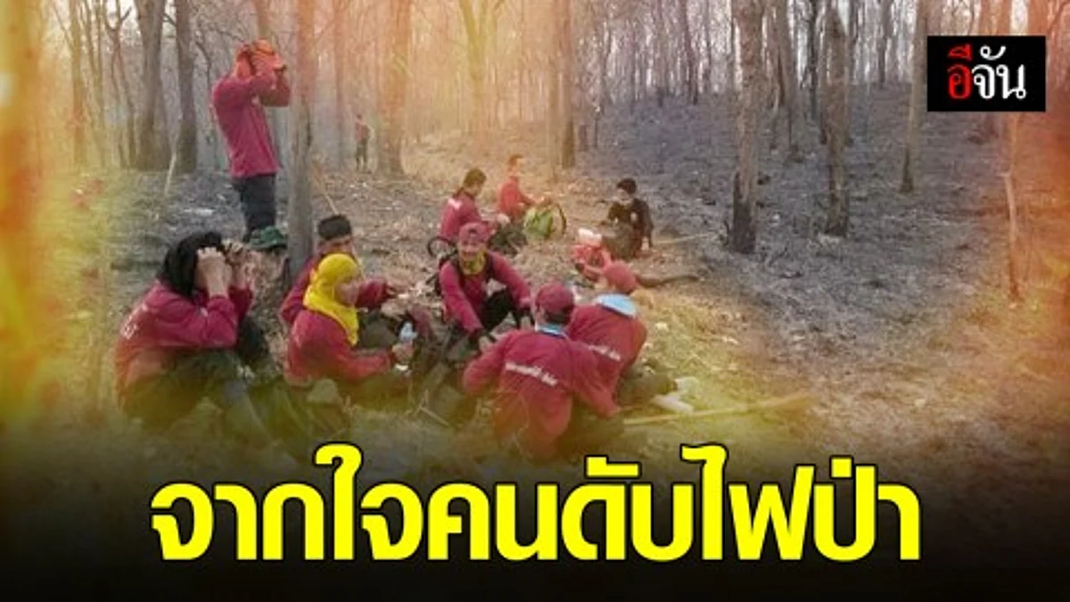 จากใจเหยี่ยวไฟผู้อยู่เบื้องหลังการดับไฟป่าภาคเหนือ
