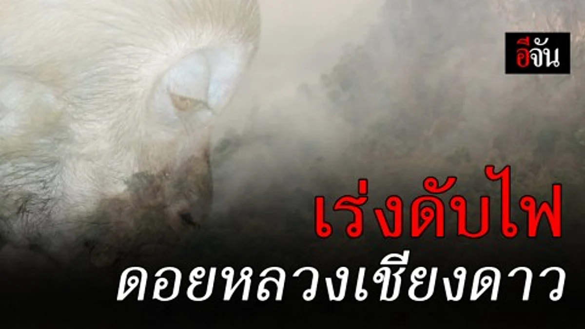 เจ้าหน้าที่ระดมกำลังเข้าดับไฟป่าดอยหลวงเชียงดาว ล่าสุดเสียหายแล้วกว่า 400 ไร่