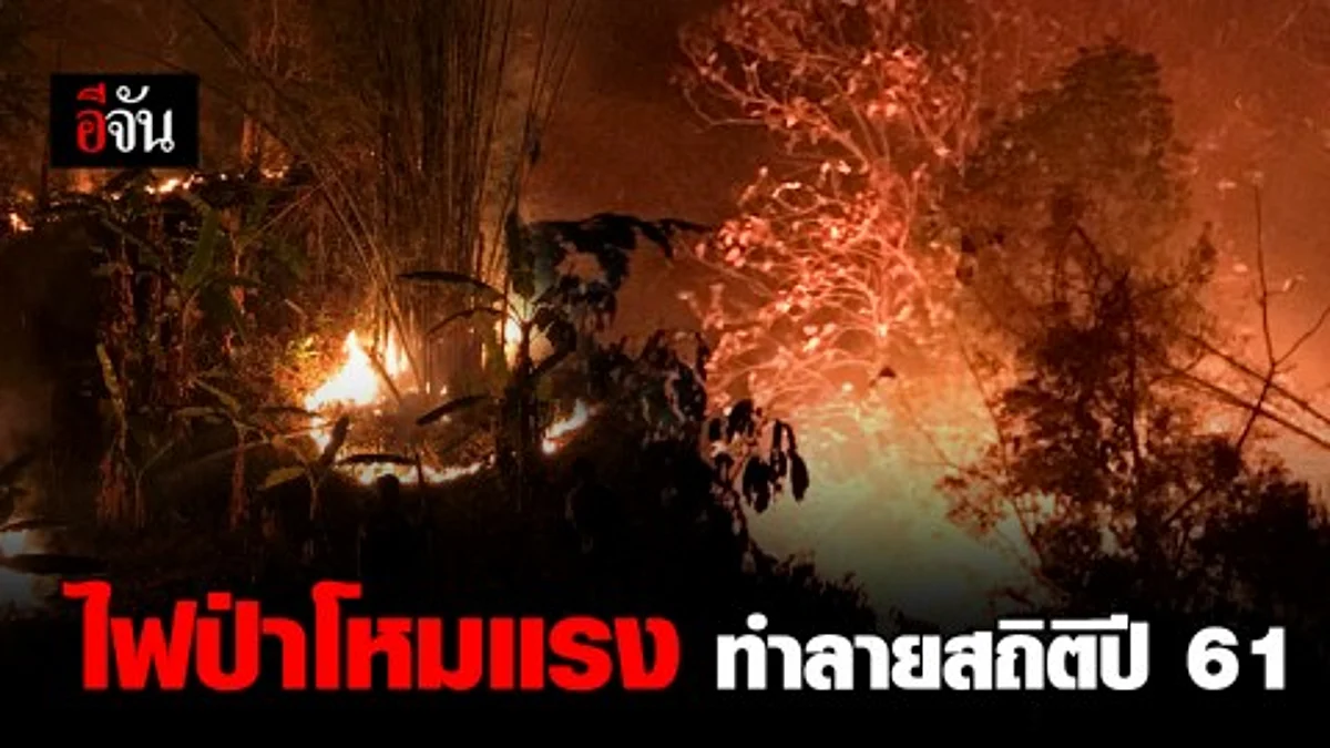 ไฟป่ารุนแรงต่อเนื่อง คาดจุดความร้อนทะลุเป้า ทำลายสถิติปีที่แล้ว
