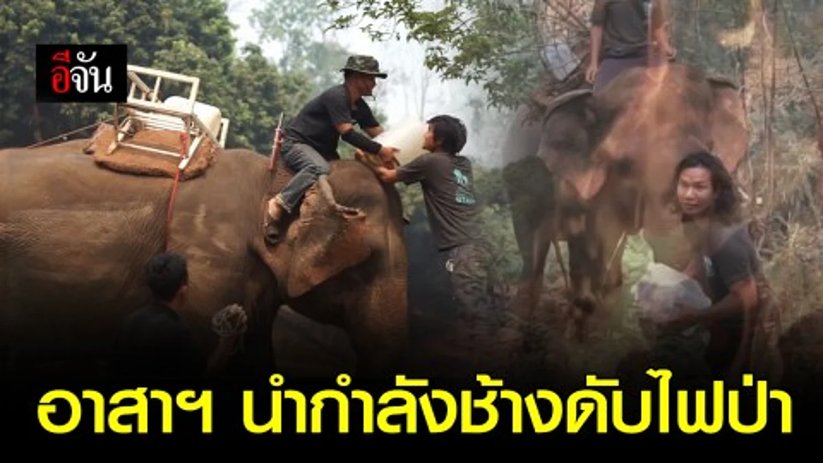 โครงการ “ควาญช้างอาสา ดับไฟป่า” รวมพลังดับไฟป่า ลดฝุ่นควันปกคลุม จ.เชียงใหม่