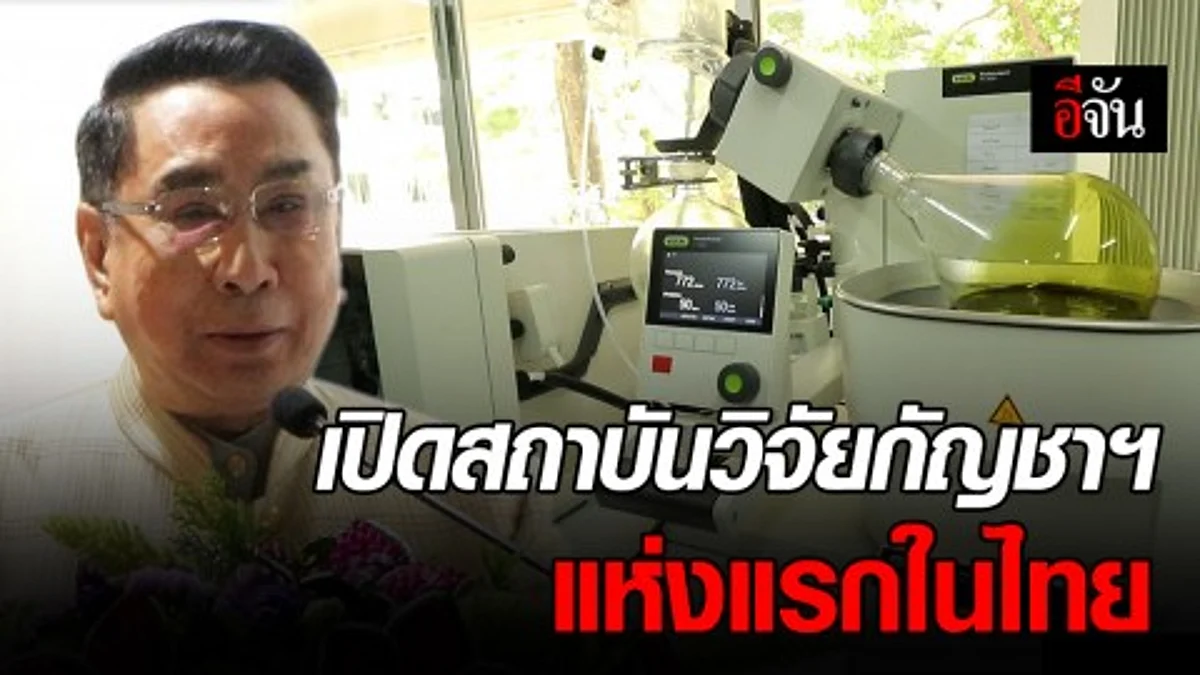 คณะเภสัชฯ ม.รังสิต เปิดสถาบันวิจัยกัญชาฯ แห่งแรกในไทย เผย ค้นพบ CBN ยับยั้งเซลล์มะเร็งปอด