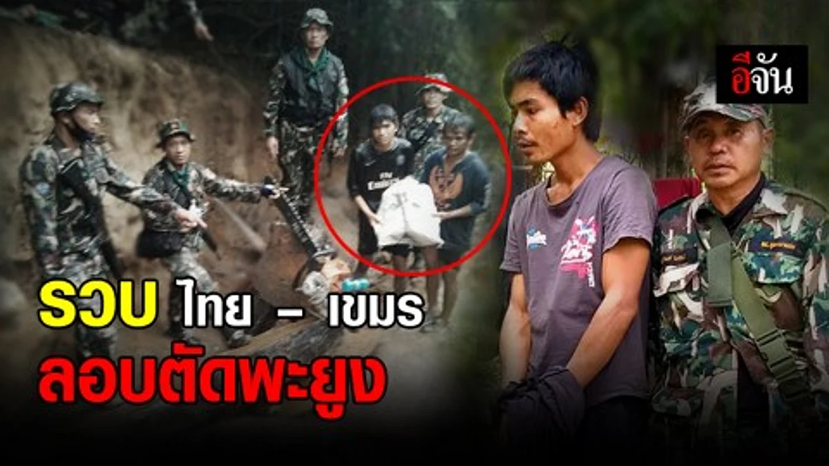 หน่วย SMART Patrol อุทยานแห่งชาติภูจองนายอย รวบ ไทย – เขมร ลอบตัดพะยูงในเขตอุทยาน