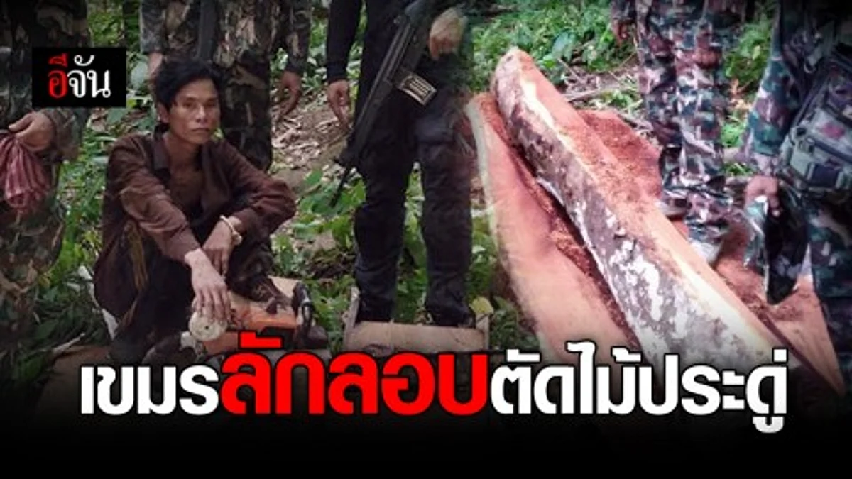 จนท. บุกจับเขมร ลักลอบตัดไม้ประดู่ ในเขตอุทยานแห่งชาติภูจองนายอย