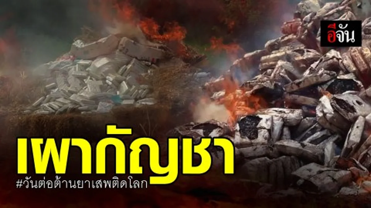 เผาทำลายยาเสพติดกว่า 2 ตัน ปราบปรามอย่างจริงจัง ใหญ่แค่ไหนก็จับ