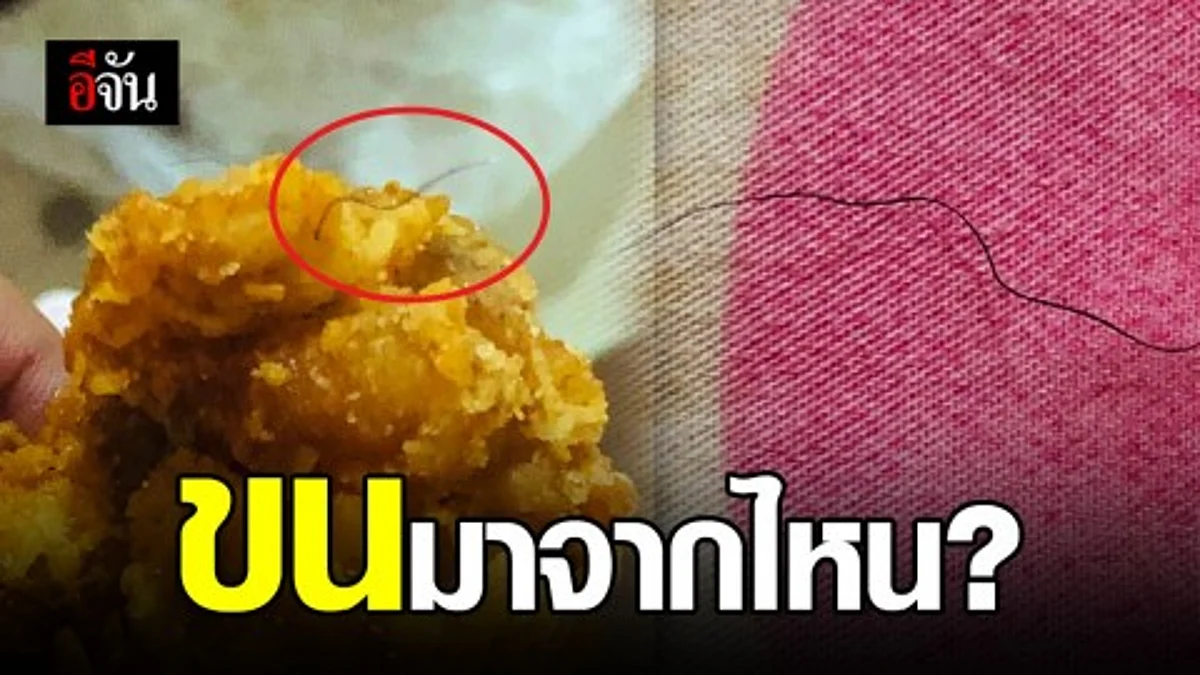 สาวผงะ กินไก่เจอขนโผล่ อ้วกเเทบพุ่ง