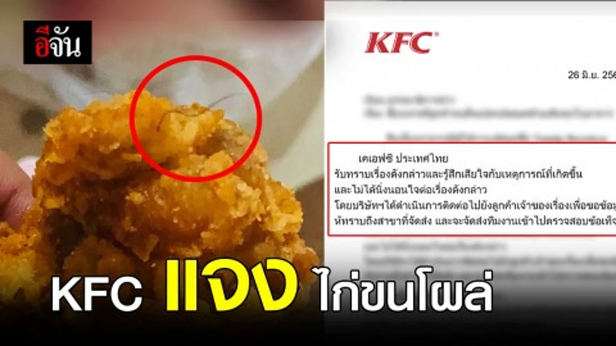 KFC ร่อนหนังสือเเจงเหตุ ลูกค้า เจอขนโผล่ในไก่ทอด