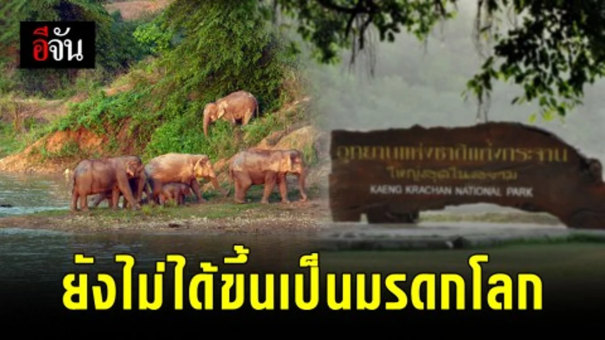 ยูเนสโก ยังไม่รองรับป่าแก่งกระจาน ขึ้นทะเบียนมรดกโลก