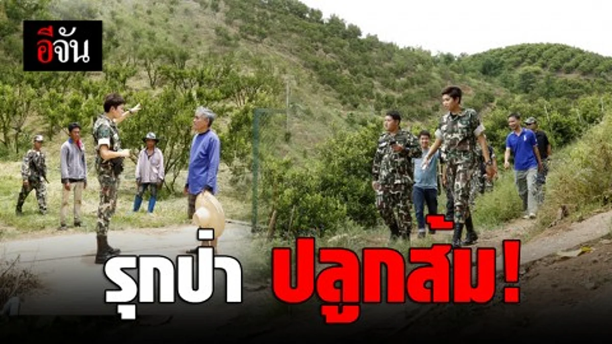 พญาเสือบุกทวงคืนผืนป่า! พบการบุกรุกอุทยานแห่งชาติดอยผาปก ปลูกส้ม สร้างรายได้