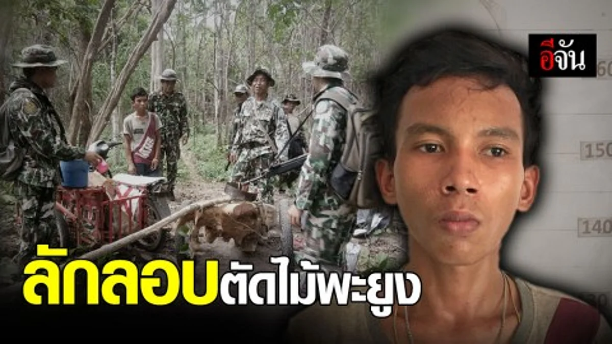 จับหนุ่มวัย 16 ลักลอบตัดไม้พะยูง ในเขต ขสป.ยอดโดม พบของกลางเพียบพร้อมยาบ้า