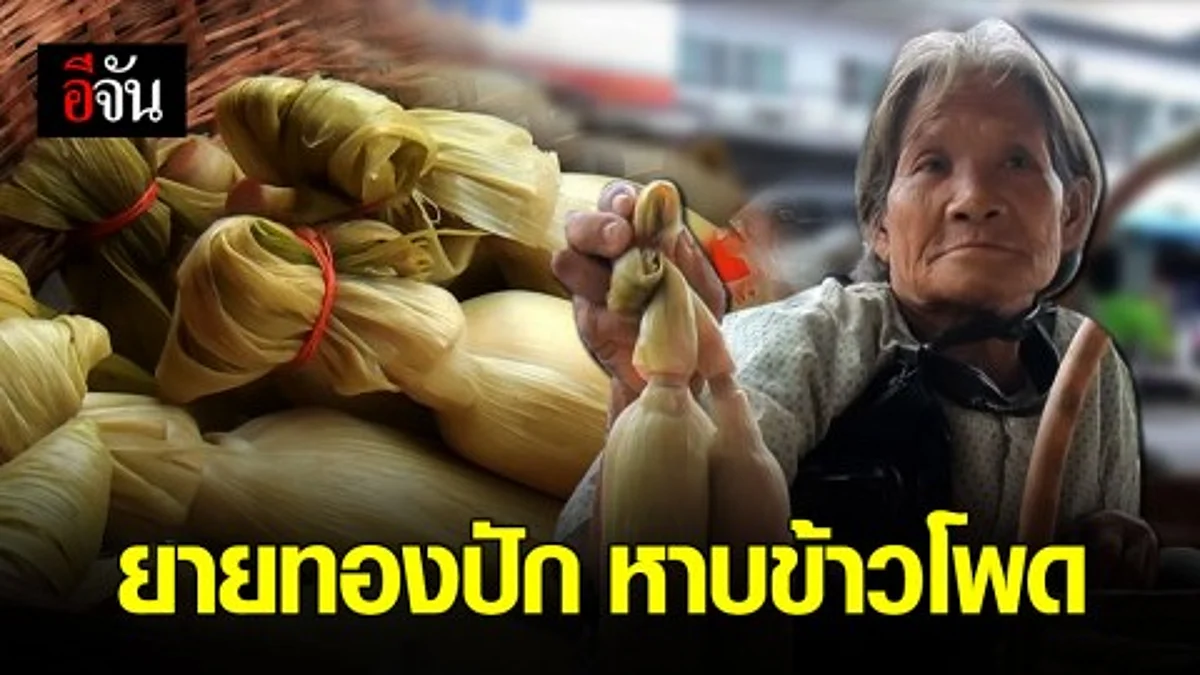 ยายทองปัก ตำนานหาบข้าวโพดกว่า 50 ปี ขอสู้เพื่อหลาน ได้มีการศึกษา