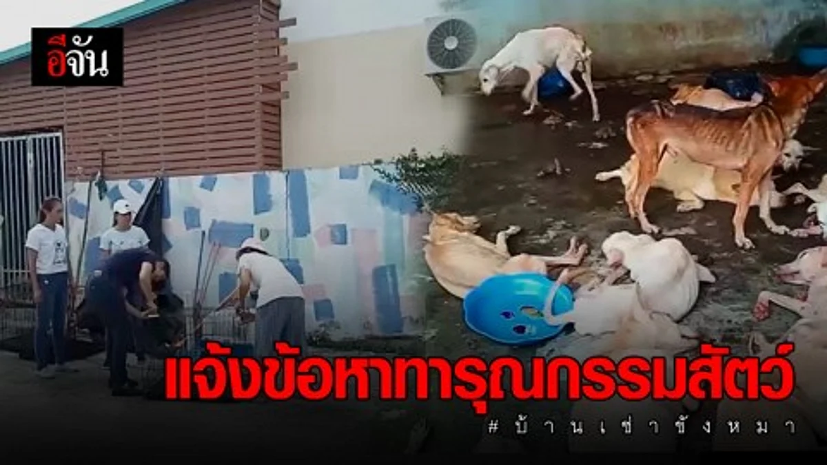เตรียมแจ้งข้อหา ทารุณกรรมสัตว์ เจ้าของบ้านเช่าขังหมา