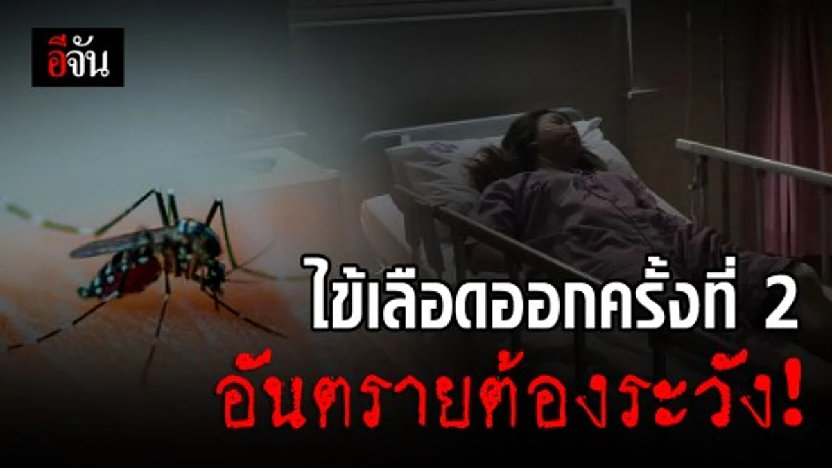 ไข้เลือดออกครั้งที่ 2 อันตรายจริงหรือ?