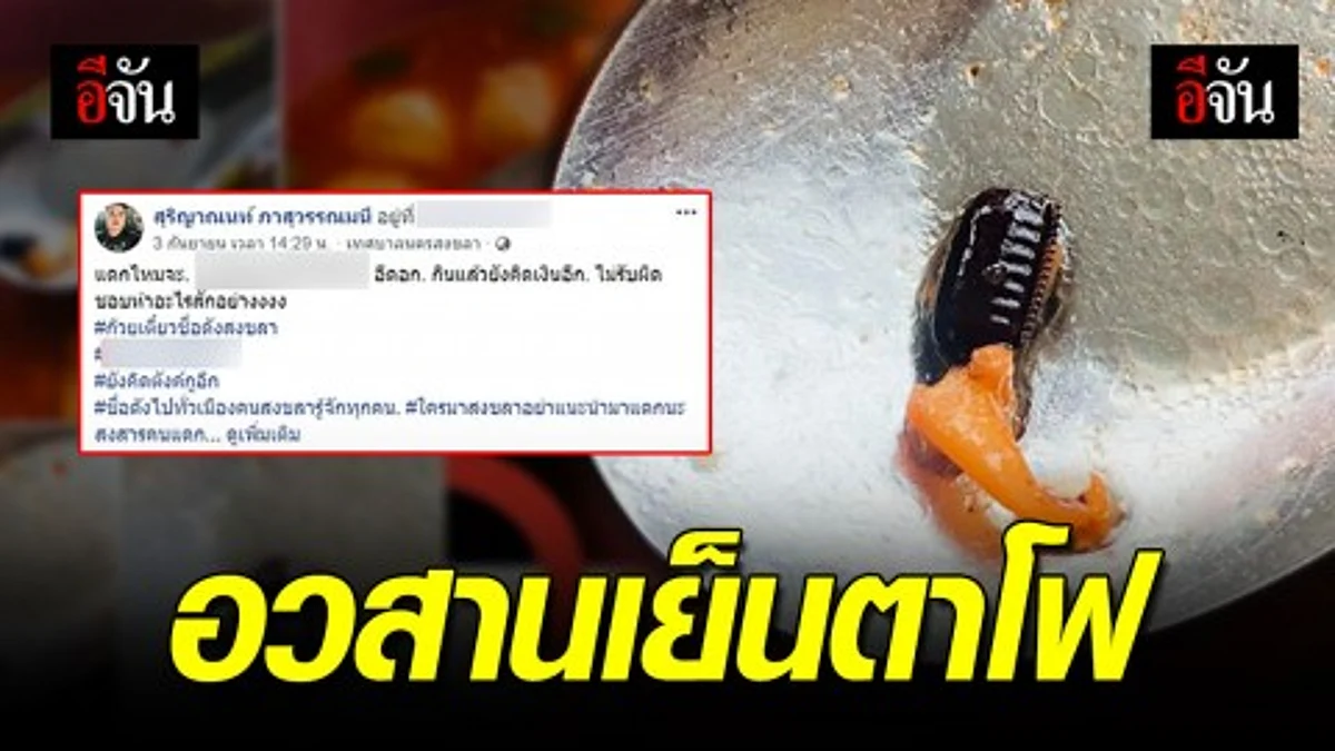 แทบช็อค! เจอไข่แมลงสาบในเย็นตาโฟ... อวสานอาหารมื้ออร่อย