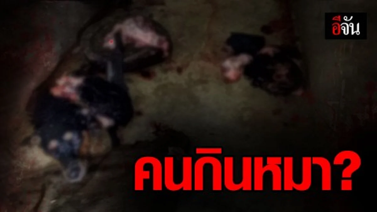 แรงงานต่างด้าวเมา จับหมาแล่เนื้อ ก่อนหมดแรงหลับไป