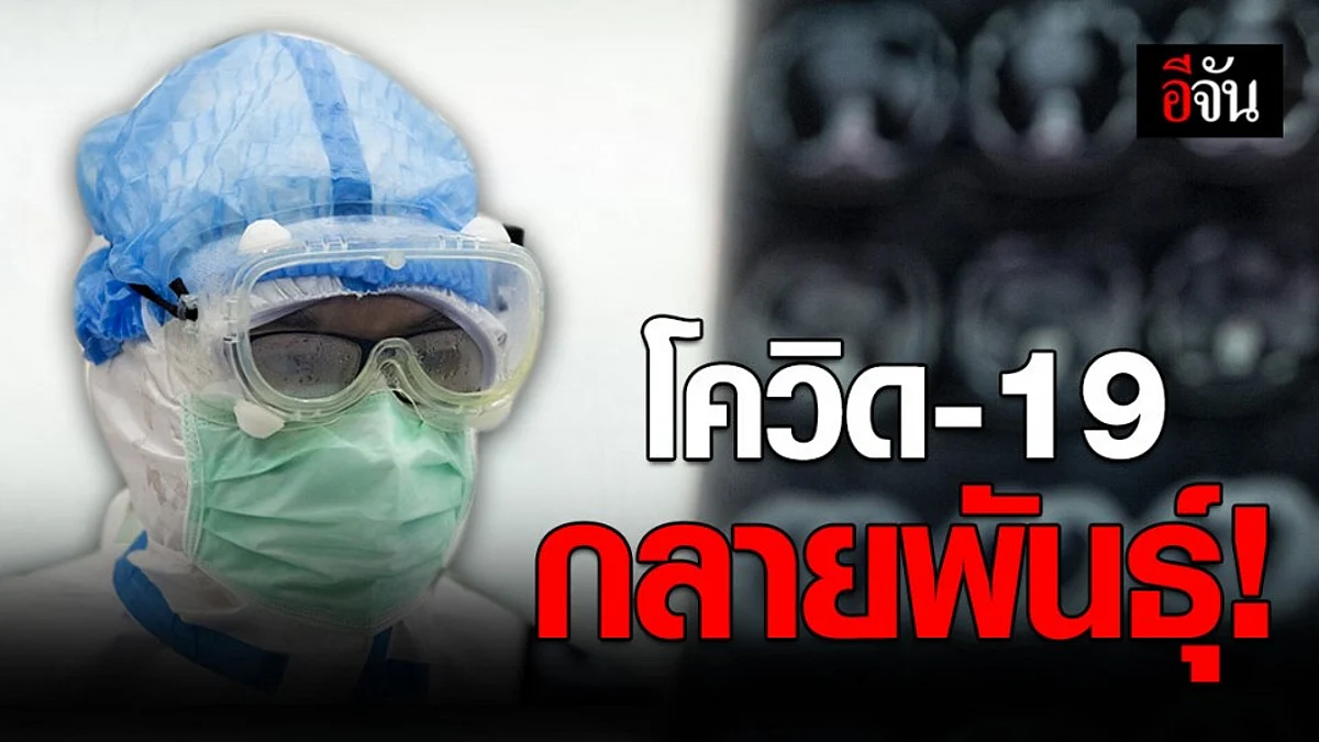 โควิด-19 กลายพันธุ์ ทำปอด ม้ามหด เซลล์หัวใจเสื่อมตาย