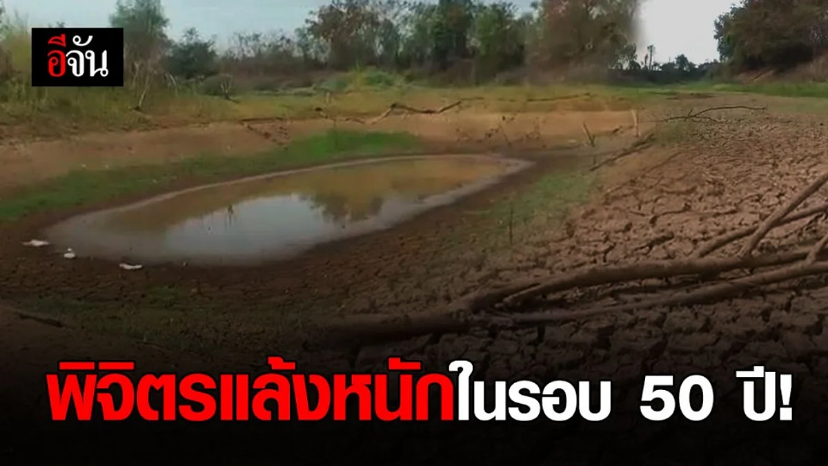 พิจิตรแล้งที่สุดในรอบ 50 ปี กระทบเกษตรกรไม่มีน้ำทำการเกษตร