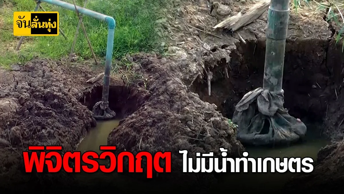 พิจิตรแล้งหนัก น้ำในคลองแห้งขอด เกษตรกรสวนส้มโอเสียหายหลายร้อยไร่