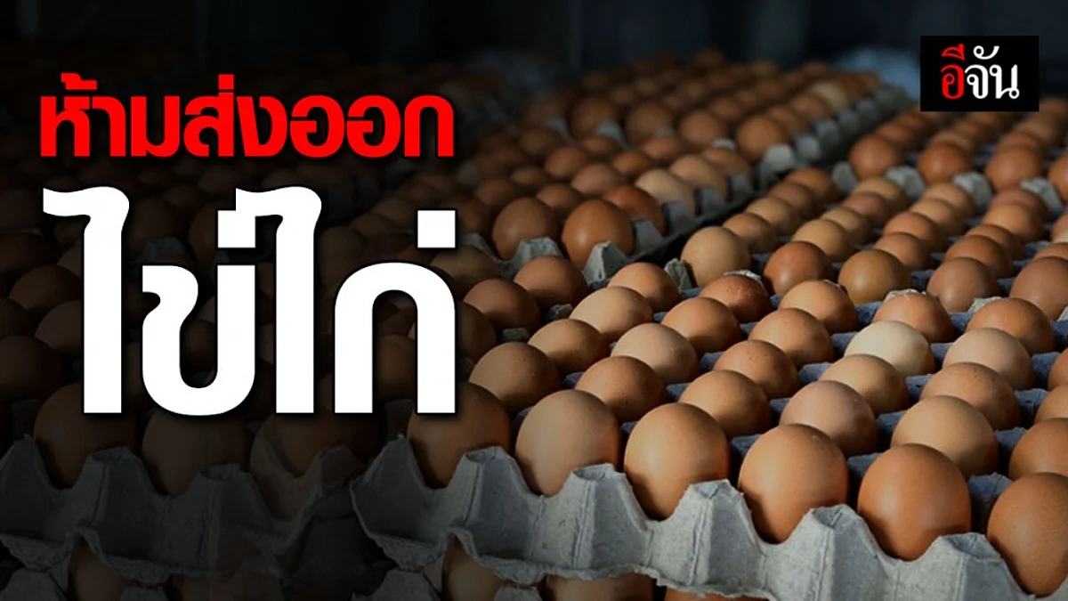 เอาจริง! จุรินทร์ ประกาศห้ามส่งออกไข่ - ใครขายแพงเจอคุก 7 ปี