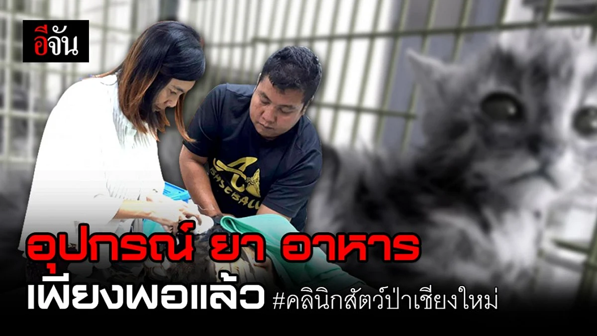 คลินิกสัตว์ป่าเชียงใหม่ อุปกรณ์ อาหาร ยา เพียงพอต่อการดูแลสัตว์ป่าที่ถูกไฟคลอกแล้ว