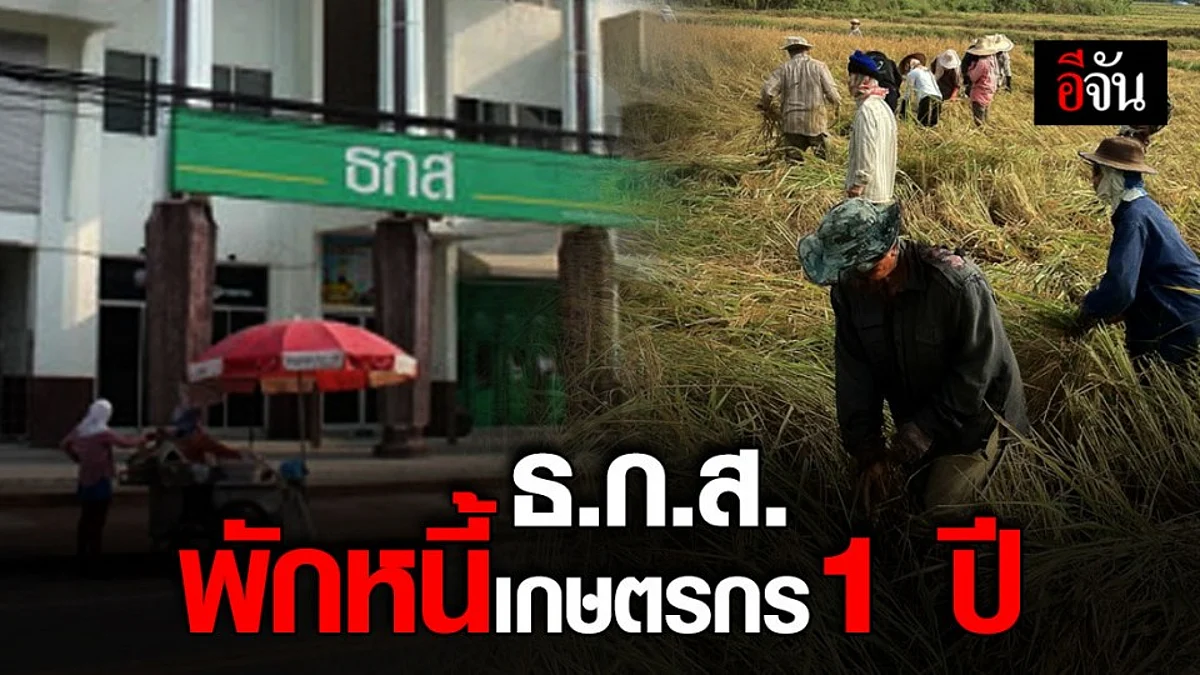 เกษตรกรเฮหนัก ธ.ก.ส. ออกมาตรการพักหนี้เกษตรกร 1 ปี โดยอัตโนมัติ