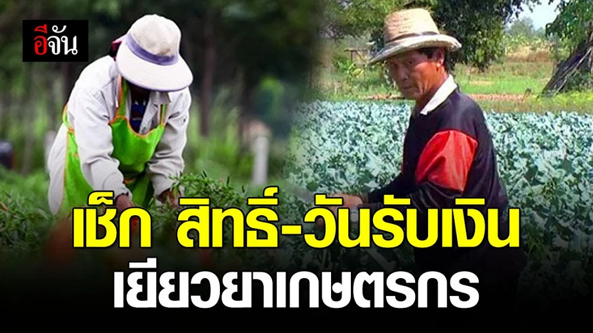 เกษตรกร เช็กด่วน! วันรับเงินเยียวยา 5,000 บาท/เดือน