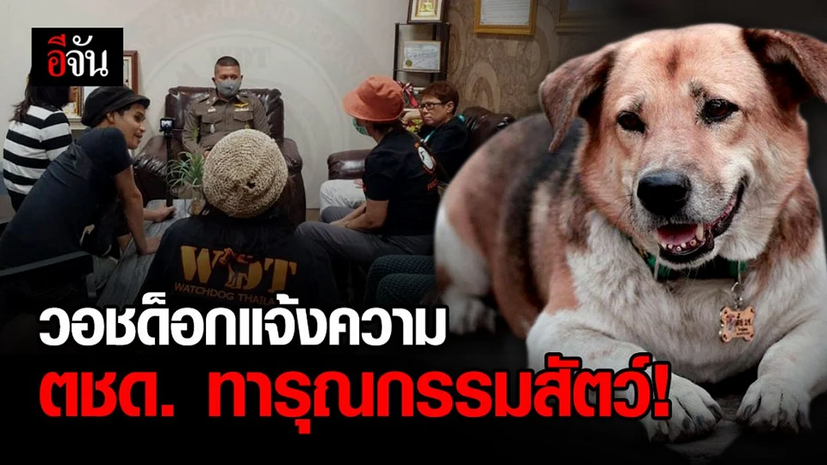 คดีพี่เตี้ย มช. ยังคงเป็นปริศนา? รอยแผล 4 รูบนตัวยังไม่ชัดถูกยิงหรือถูกกัด