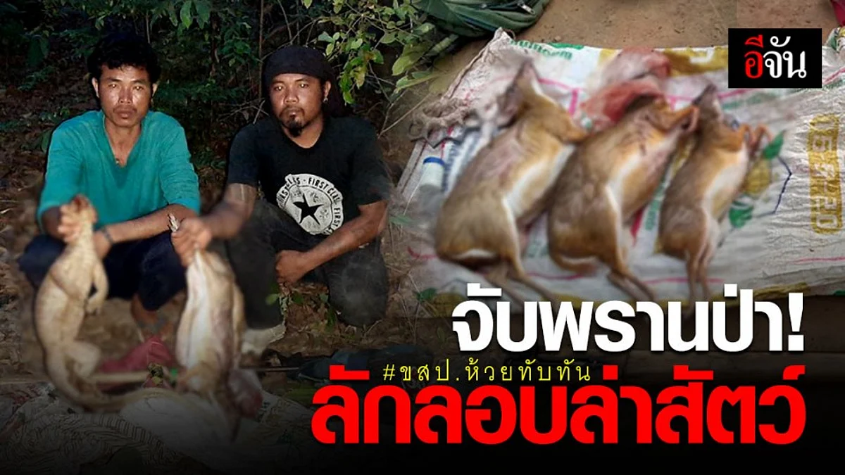 จับ 2 พราน ลักลอบล่าตะกวด-กระจง ใน ขสป.ห้วยทับทัน
