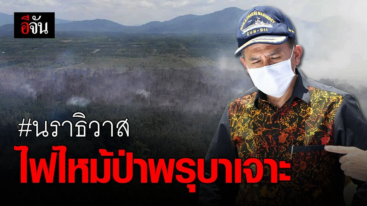 เพลิงเผาวอด! ป่าพรุบาเจาะ – ผู้ว่าฯ นราธิวาส ห้ามผู้ไม่เกี่ยวข้องเข้าพื้นที่