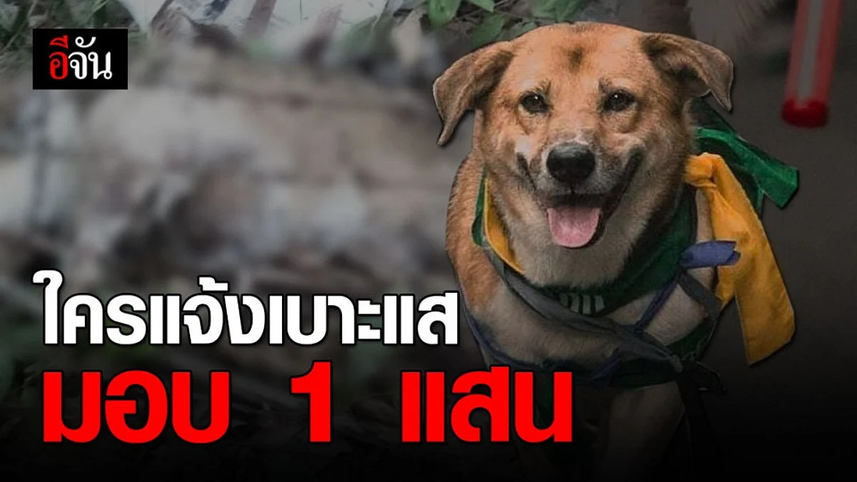 ใครแจ้งเบาะแสขบวนการอุ้มฆ่าเตี้ย มช. กลุ่มคนรักหมามอบ 1 แสนบาททันที!