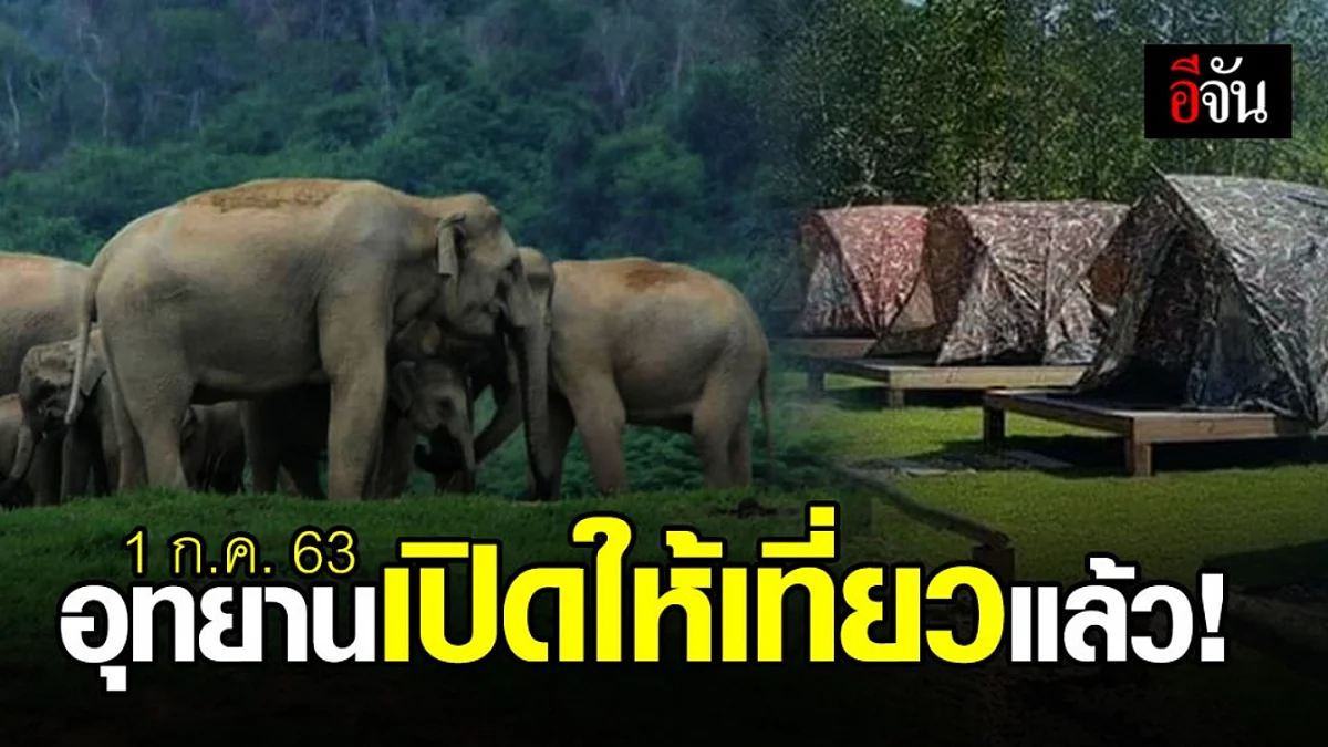 คนรักธรรมชาติเฮ! กรมอุทยานฯ เตรียมเปิดให้เที่ยวแล้ว 1 ก.ค.นี้