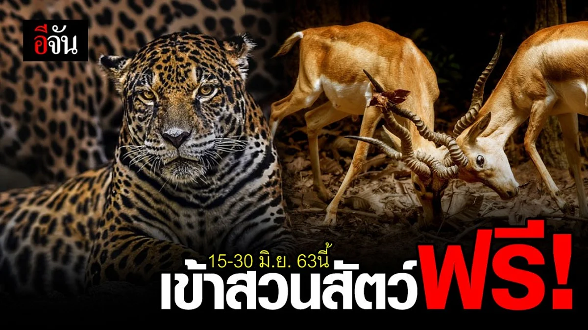 เข้าสวนสัตว์วิถีใหม่ เข้าฟรีทั่วไทย ดีเดย์ 15 มิ.ย. นี้
