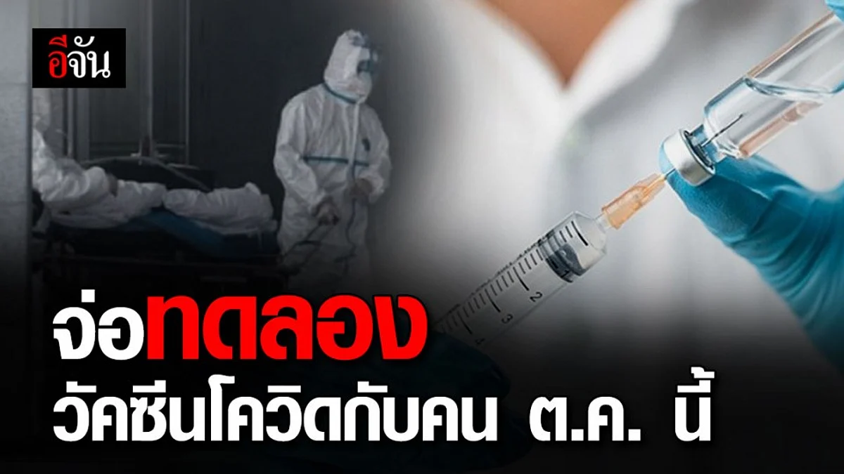 ไทยจ่อทดลองวัคซีนโควิด-19 ในมนุษย์ ต.ค. นี้